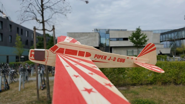 Basalflieger auf dem Campusgelände